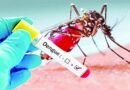 Dengue: este é o pior ano da nossa história