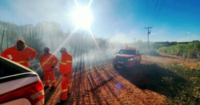 Incêndio queima 63 hectares de canavial em Bom Despacho