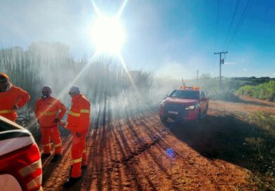 Incêndio queima 63 hectares de canavial em Bom Despacho