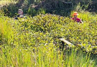 Corpo de idoso foi encontrado na zona rural de Pompéu