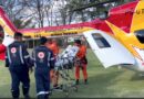 A luta pela vida de um bebê picado por escorpião