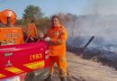 Bombeiros fazem apelo para população de Bom Despacho