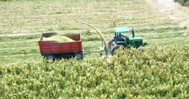 Agronegócio bate recorde de exportação em Minas Gerais