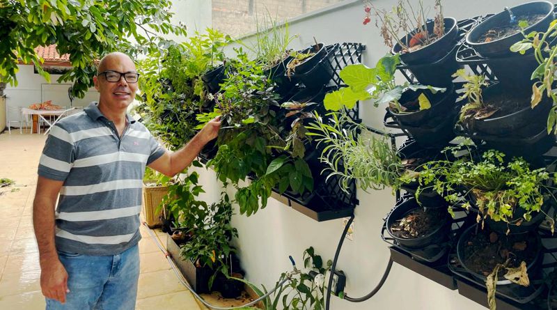 A emoção de ter uma horta vertical no quintal de casa