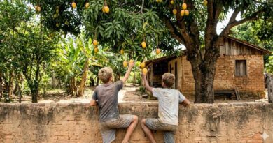 Quando havia quintais em Bom Despacho