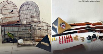 Presa por manter aves em gaiolas e ter 5 armas em casa