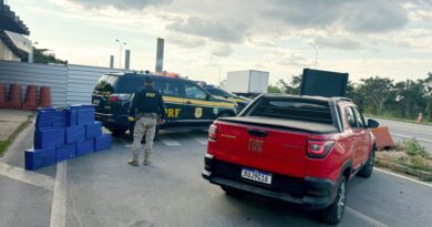 PRF apreende 201kg de droga após perseguição na BR-262