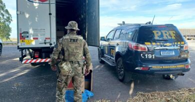 PRF apreende 75 mil maços de cigarros contrabandeados