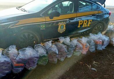 PRF apreende 250 kg de maconha em blitz na BR-262