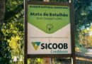 Cidade quente, cidade cinza: onde está a nossa sombra?