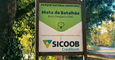 Cidade quente, cidade cinza: onde está a nossa sombra?