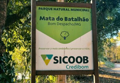 Cidade quente, cidade cinza: onde está a nossa sombra?
