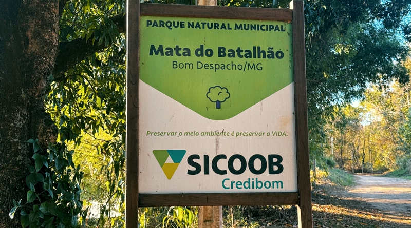 Cidade quente, cidade cinza: onde está a nossa sombra?