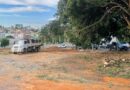 Prefeitura autoriza corte de árvores para supermercado