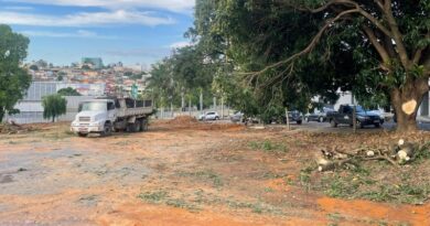 Prefeitura autoriza corte de árvores para supermercado