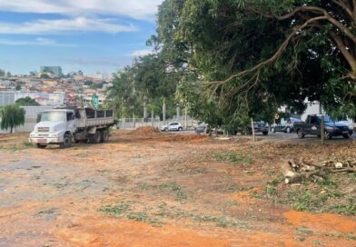 Prefeitura autoriza corte de árvores para supermercado