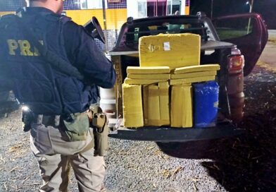 PRF prende casal levando 180 kg de droga na BR-262